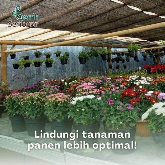 Paranet Peneduh Sinar UV Matahari dan Hujan - Perlindungan Maksimal Greenhouse Kebun Arena Bermain Kolam Kandang dari Matahari & Hujan