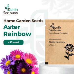 Bibit Bunga Aster Rainbow Mixed Heirloom Premium 