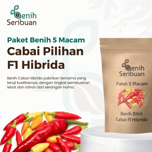 Benih Cabe 5 Macam Benih Cabai Rawit Hibrida Seribuan 1 Benih Cabe 5 Macam Benih Cabai Rawit Hibrida Seribuan