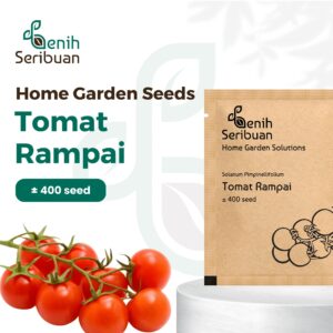 Benih Tomat Mini Rampai