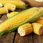 Benih Jagung Manis