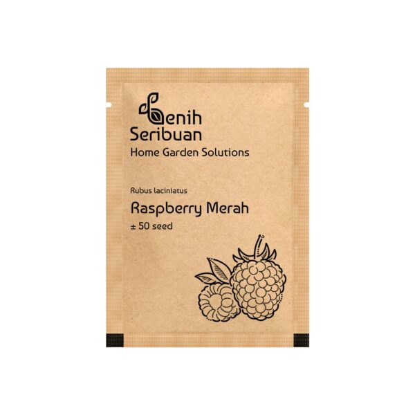 Benih Buah Raspberry Merah Unggul Premium 2 Benih Buah Raspberry Merah Unggul Premium