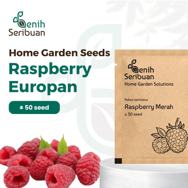 Benih Buah Raspberry Merah Unggul Premium 1 Benih Buah Raspberry Merah Unggul Premium