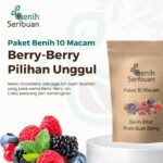 Benih Buah Berry 10 Macam Benih Strawberry Paket Lengkap Seribuan