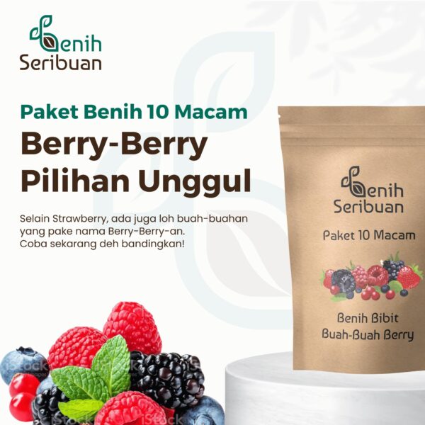 Benih Buah Berry 10 Macam Benih Strawberry Paket Lengkap Seribuan