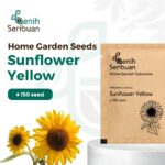 Benih Bunga Matahari Kuning Sunflower Yellow Unggul Premium