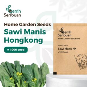 Benih Sawi Manis Hongkong