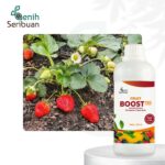 Pupuk Pelebat Buah Fruit Boost Pro 500mL Nutrisi Percepatan Pembuahan Organik Cair