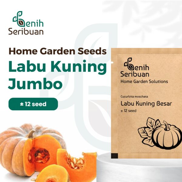 Benih Buah Labu Kuning Jumbo Unggul Premium 1 Benih Buah Labu Kuning Jumbo Unggul Premium