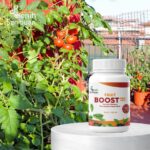 Fruit Boost Pro 100mL Pupuk Cair Pelebat Buah Organik Hormon Percepatan Pembuahan