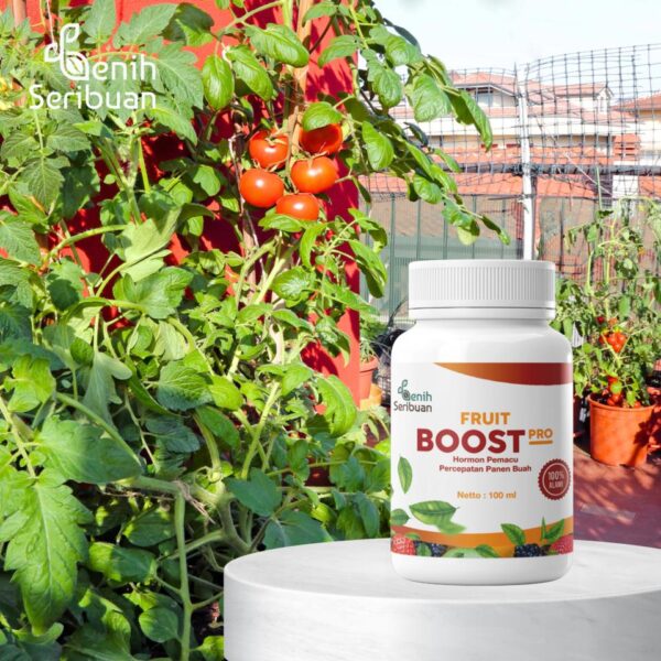 Fruit Boost Pro 100mL Pupuk Cair Pelebat Buah Organik Hormon Percepatan Pembuahan 5 Fruit Boost Pro 100mL Pupuk Cair Pelebat Buah Organik Hormon Percepatan Pembuahan