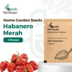 Benih Cabe Red Habanero Cabai Terpedas Heirloom Premium