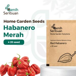 Benih Cabe Red Habanero Cabai Terpedas Heirloom Premium 