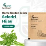 Benih Seledri