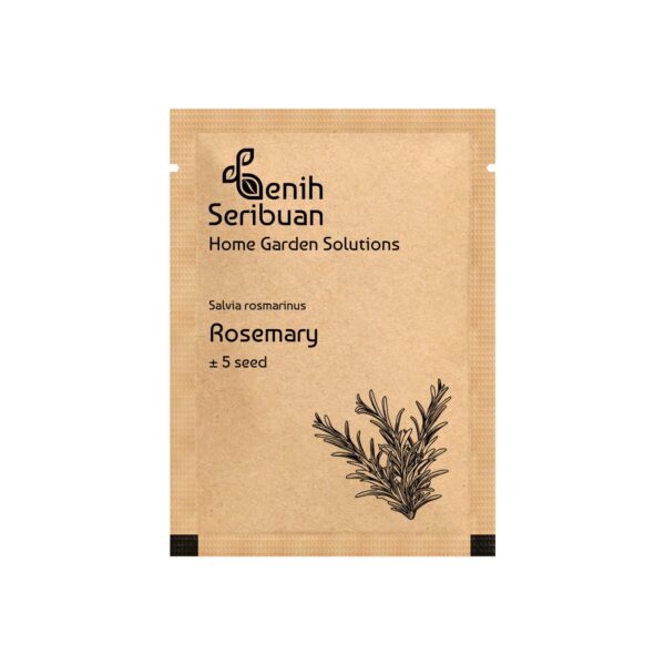 Benih Rosemary Heirloom Tanaman Herb Premium 2 Benih Rosemary Heirloom Tanaman Herb Premium