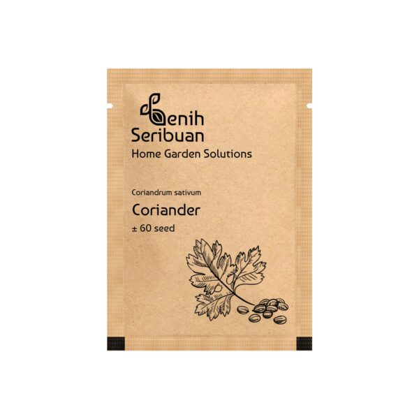 Benih Herb Coriander Daun Ketumbar Tanaman Heirloom 2 Benih Herb Coriander Daun Ketumbar Tanaman Heirloom