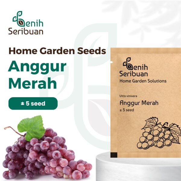 Benih Buah Anggur Merah Heirloom Premium 1 Benih Buah Anggur Merah Heirloom Premium