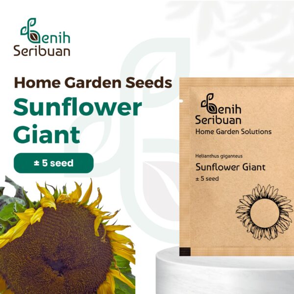 Bibit Bunga Sunflower Giant Tanaman Heirloom