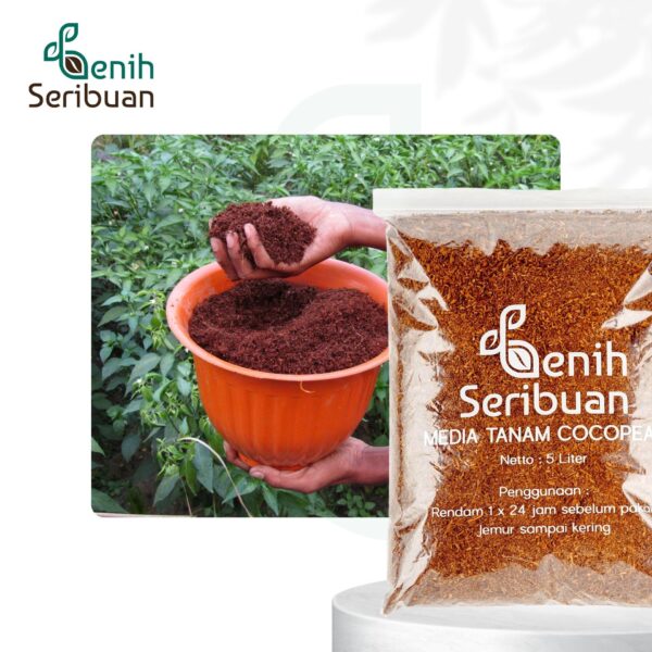 Cocopeat Media Tanam Organik 5 Liter Serbuk Halus Kelapa Grade Super 5 Cocopeat Media Tanam Organik 5 Liter Serbuk Halus Kelapa Grade Super