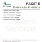 Benih Cabe 5 Macam Benih Cabai Rawit Hibrida Seribuan