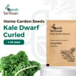 Benih Kale Dwarf Curly Heirloom Tanaman Herb Premium