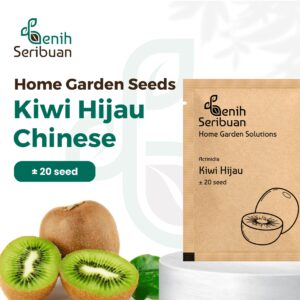 Benih Buah Kiwi Hijau Unggul Premium