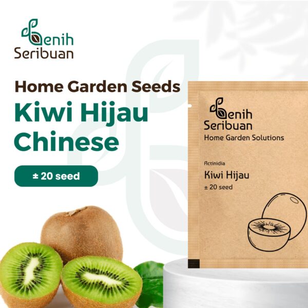 Benih Buah Kiwi Hijau Unggul Premium 1 Benih Buah Kiwi Hijau Unggul Premium