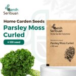 Bibit Parsley Moss Curly Tanaman Herb Premium