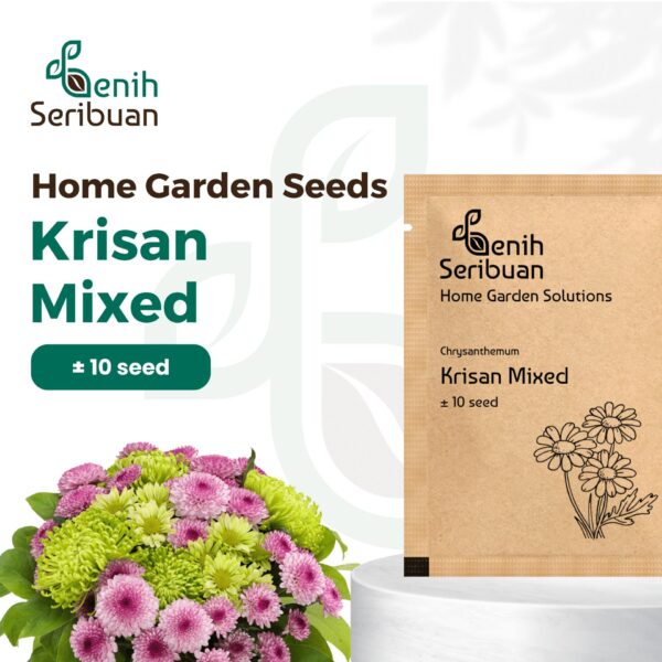Benih Bunga Krisan Mixed Unggul Premium 1 Benih Bunga Krisan Mixed Unggul Premium