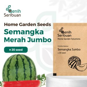 Benih Buah Semangka Merah Jumbo F1 Hibrida Premium