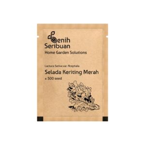 Benih Selada Merah