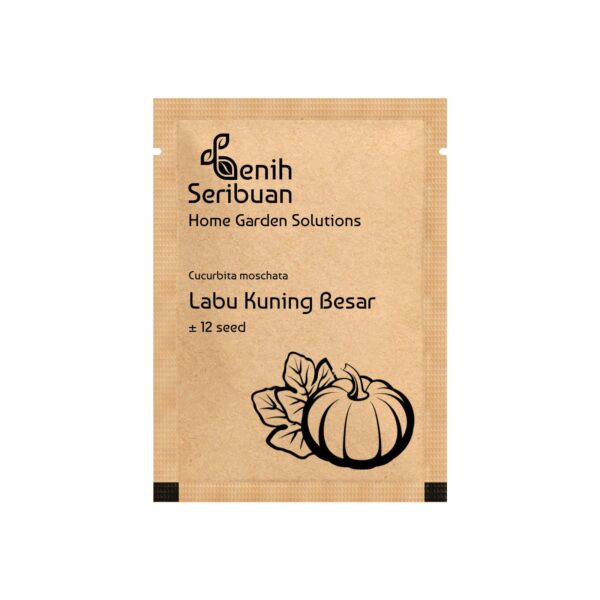 Benih Buah Labu Kuning Jumbo Unggul Premium 2 Benih Buah Labu Kuning Jumbo Unggul Premium