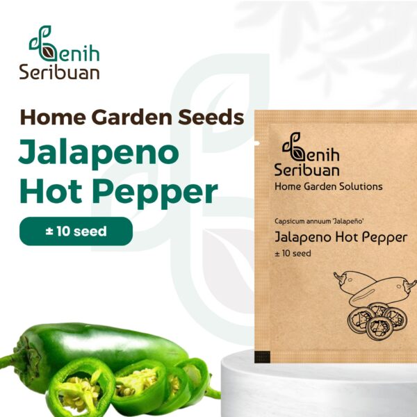 Benih Cabe Jalapeno F1 Hybrid Premium 1 Benih Cabe Jalapeno F1 Hybrid Premium