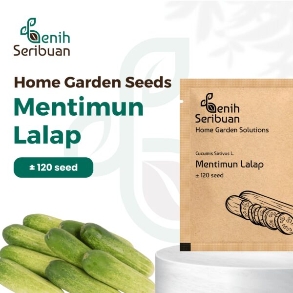 Benih Timun Lalap 1 Benih Timun Lalap