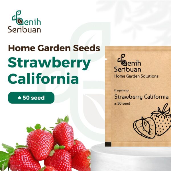 Benih Buah Strawberry California Unggul Premium 1 Benih Buah Strawberry California Unggul Premium