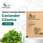 Benih Herb Coriander Daun Ketumbar Tanaman Heirloom