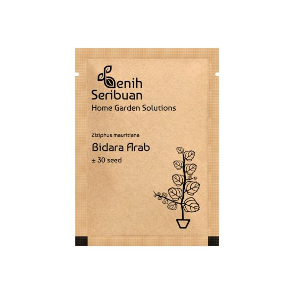 Benih Tanaman Bidara Arab Unggul Premium 2 Benih Tanaman Bidara Arab Unggul Premium
