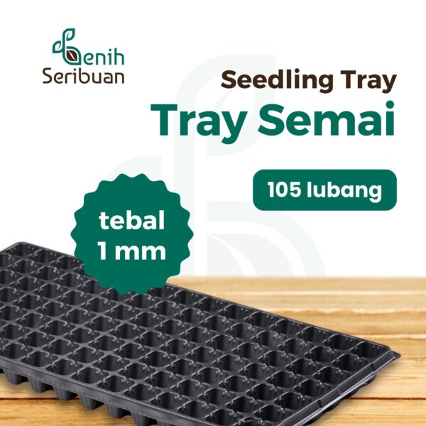 - Paket Tray Semai 5 pc Pot Tray Tebal 1 MM Lubang 105 Media Tanam Semai Benih 2 - Paket Tray Semai 5 pc Pot Tray Tebal 1 MM Lubang 105 Media Tanam Semai Benih