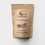 Benih Buah Berry 10 Macam Benih Strawberry Paket Lengkap Seribuan