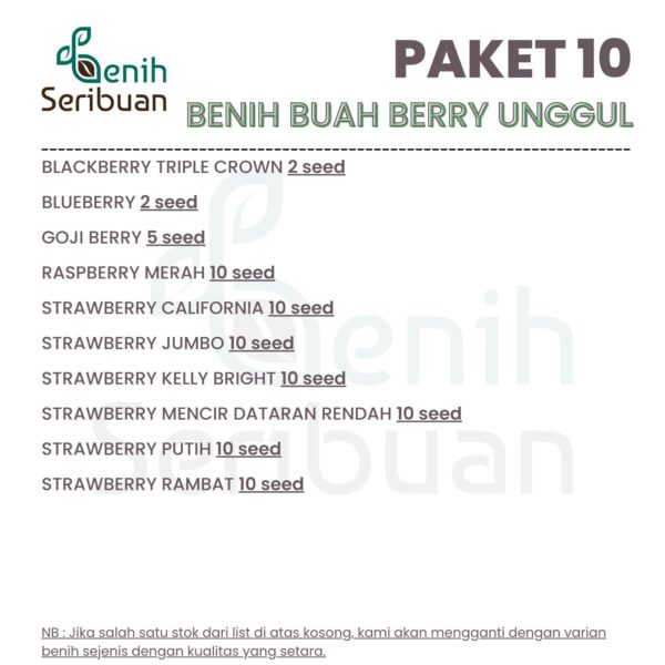 Benih Buah Berry 10 Macam Benih Strawberry Paket Lengkap Seribuan