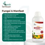 Pupuk Pelebat Buah Fruit Boost Pro 500mL Nutrisi Percepatan Pembuahan Organik Cair