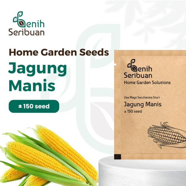 Benih Jagung Manis