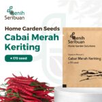 Benih Cabe Merah Keriting