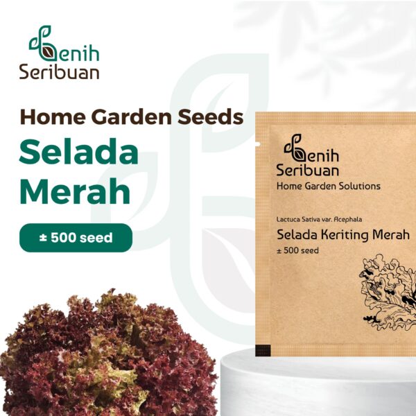 Benih Selada Merah