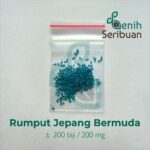 Benih Rumput Jepang Bermuda Grass F1 Premium