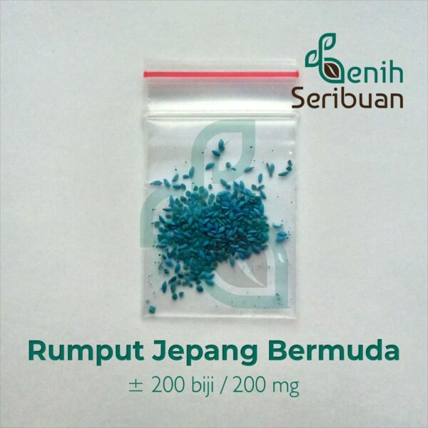 Benih Rumput Jepang Bermuda Grass F1 Premium 7 Benih Rumput Jepang Bermuda Grass F1 Premium