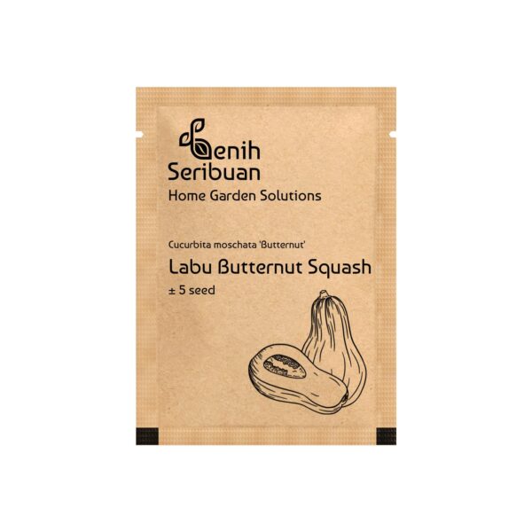 Benih Buah Labu Madu Butternut Squash F1 Hibrida Premium 2 Benih Buah Labu Madu Butternut Squash F1 Hibrida Premium
