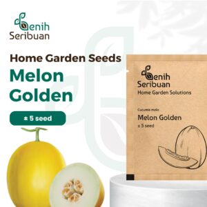 Benih Buah Melon Golden Kuning F1 Hibrida Premium 